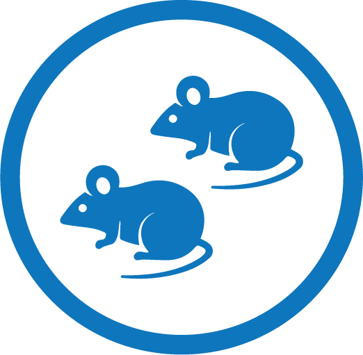 Automated Genotyping-Blue-47